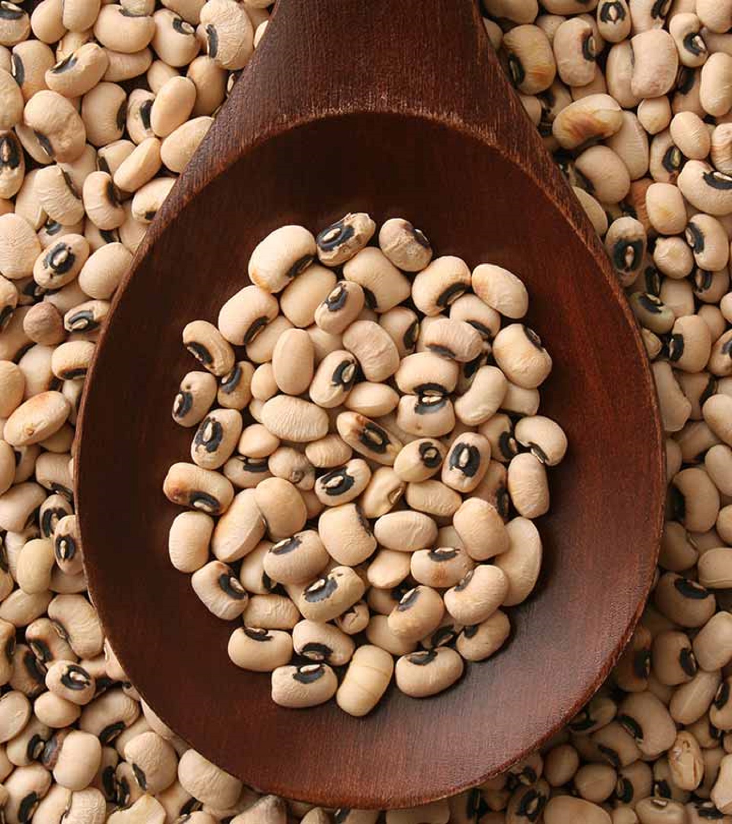 White Cow Pea - 800 g